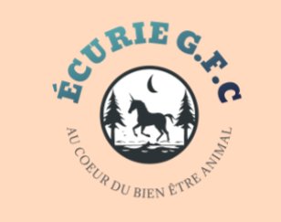 Ecurie G.F.C qui est le nom de la société